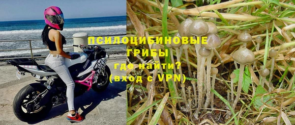 винт Зеленодольск